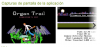 Organ Trail DC Android.png Organ Trail DC Android.png