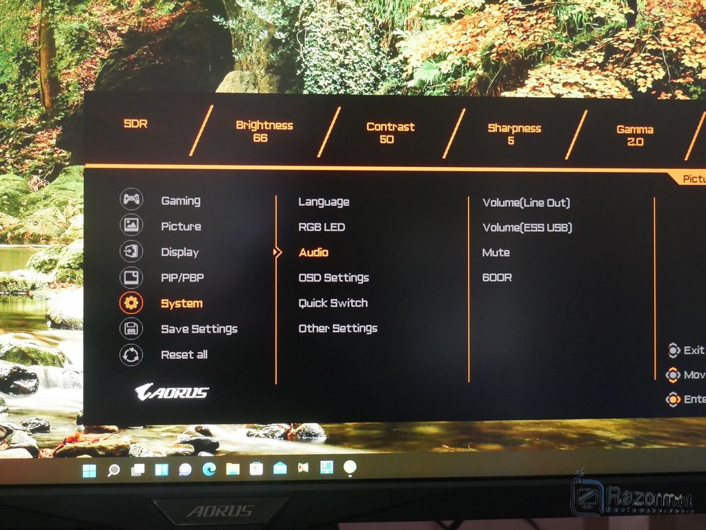 Review Aorus FI32U 24