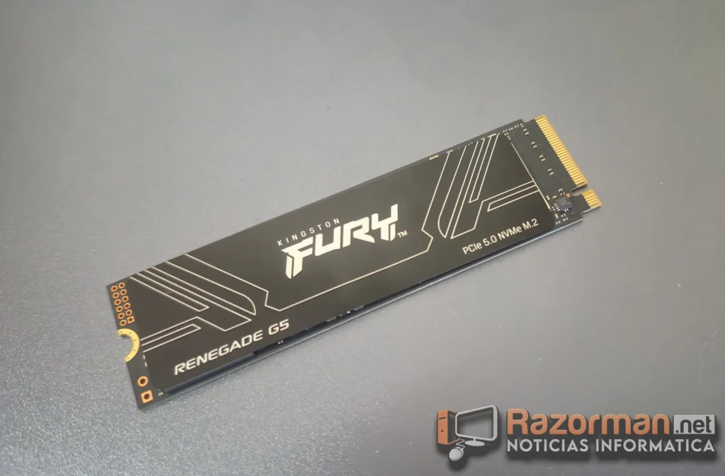 Kingston FURY Renegade G5 2TB SSD Review completa en español 2 Kingston Renegade G5 SSD 2TB review en Español