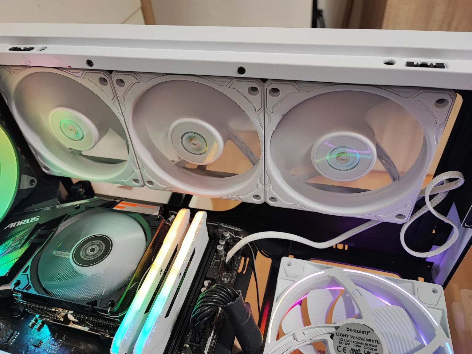 Review LIAN LI Uni Fan P28 1
