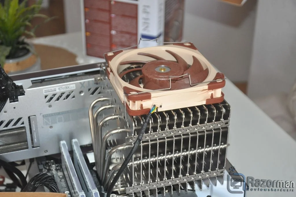 Review Noctua NH-P1 6