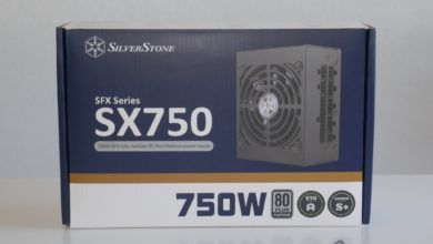Review Silverstone SX750 4