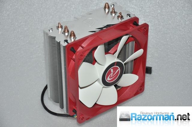 Review Raijintek Themis 8