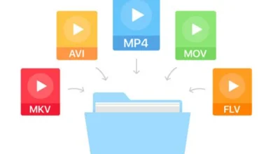 Los distintos formatos de vídeo 34 Los distintos formatos de vídeo 33