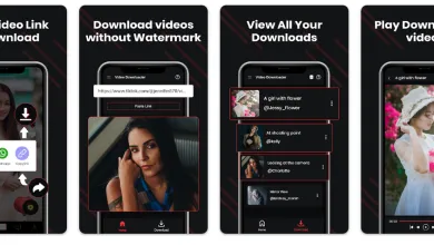 Programas para descargar videos de TikTok 22 Programas para descargar videos de TikTok 21