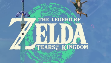 Zelda tears of the kingdom 28 Zelda tears of the kingdom 27