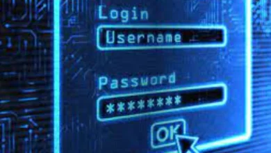 Las cookies de sesión y su importancia para la seguridad 55 Las cookies de sesión y su importancia para la seguridad 54
