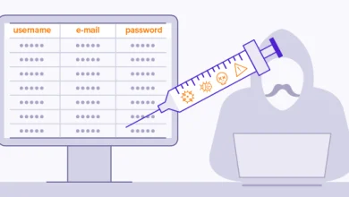 ¿Qué es un exploit? 52 ¿Qué es un exploit? 51