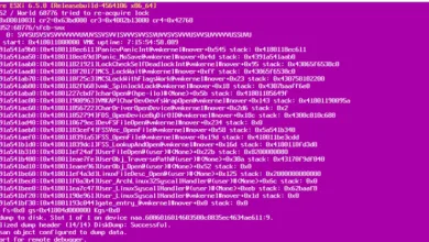 La pantalla rosa de la muerte en Windows: causas, síntomas y soluciones 29 La pantalla rosa de la muerte en Windows: causas, síntomas y soluciones 28