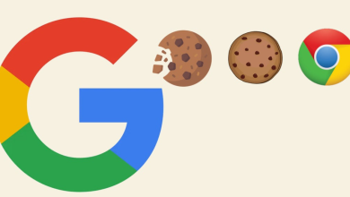 Cómo habilitar las cookies en Chrome 11 Cómo habilitar las cookies en Chrome 10
