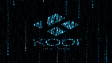Kodi Matrix 19.5: una versión estable y madura 10 Kodi Matrix 19.5: una versión estable y madura 9