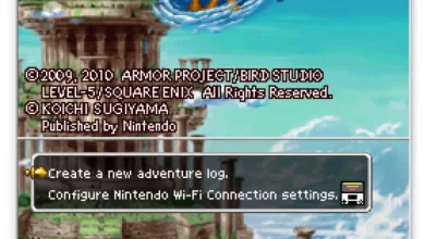 Los mejores emuladores de Nintendo DS 22