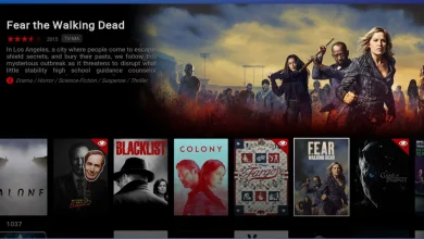 Cómo ver Netflix en Kodi 42 Cómo ver Netflix en Kodi 41