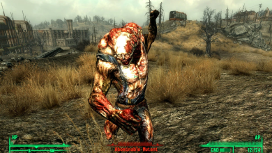 Principales mods de Fallout 3: una guía extensa 14 Principales mods de Fallout 3: una guía extensa 13