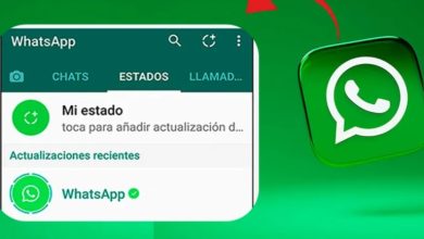 ¿Qué son los estados de WhatsApp? 46 ¿Qué son los estados de WhatsApp? 45