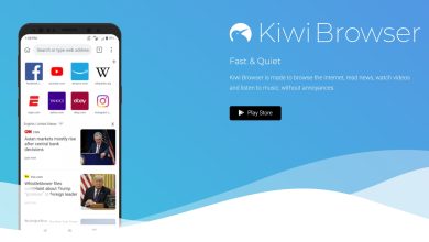 Kiwi: un navegador web ligero y rápido 74 Kiwi: un navegador web ligero y rápido 73