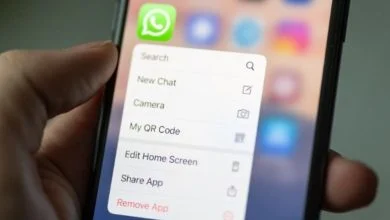 Cómo ver los mensajes borrados en WhatsApp en iPhone 83 Cómo ver los mensajes borrados en WhatsApp en iPhone 82