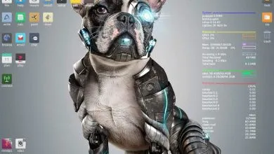 Puppy Linux: Un Sistema Operativo Único y Versátil 46 Puppy Linux: Un Sistema Operativo Único y Versátil 45