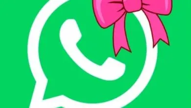 Modo Coquette de WhatsApp: una nueva forma de personalizar la aplicación 57 Modo Coquette de WhatsApp: una nueva forma de personalizar la aplicación 56