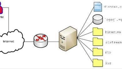 Honeypot: ¿Qué es y cómo funciona? 21