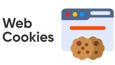 ¿Qué son las cookies y para qué se utilizan en Internet? 5