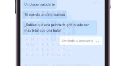 Celia, el asistente virtual de IA para personas mayores 21