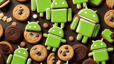 Cómo eliminar las cookies en Android 95 Cómo eliminar las cookies en Android 94
