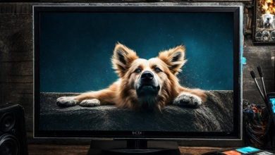 Solución error 500 en Acestream o KODI 93