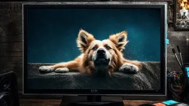 Solución al Error 404 en Kodi Cristal Azul - ACTUALIZADO 58 Solución al Error 404 en Kodi Cristal Azul - ACTUALIZADO 57