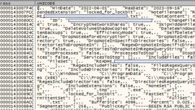 Desmantelan infraestructura del ransomware LockBit y descubren nueva versión en desarrollo 81