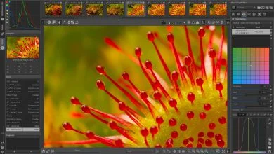 RawTherapee: Un editor de fotos RAW gratuito y potente 5