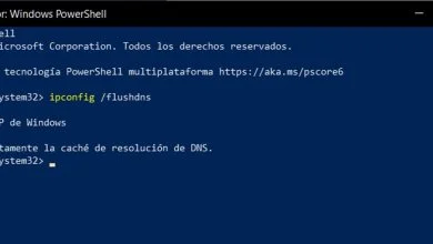 ¿Cómo borrar la caché DNS en Windows 11? 61
