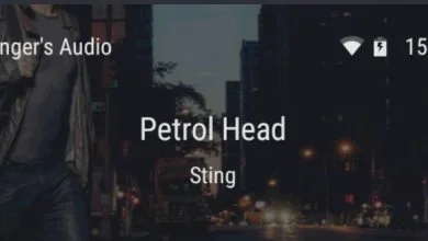 AA Passenger: Tu copiloto ideal para Android Auto 40 AA Passenger: Tu copiloto ideal para Android Auto 39