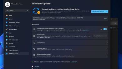 Problemas con la actualización de seguridad de Windows 11 de febrero de 2024 (KB5034765) 8 Problemas con la actualización de seguridad de Windows 11 de febrero de 2024 (KB5034765) 7