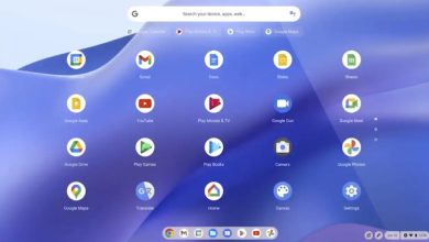 ChromeOS Flex: todo lo que necesitas saber 41