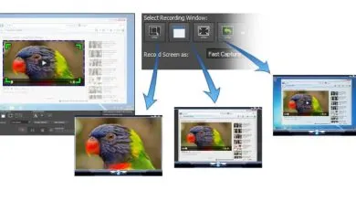 Los mejores programas para grabar la pantalla en Windows 10 en 2024 69