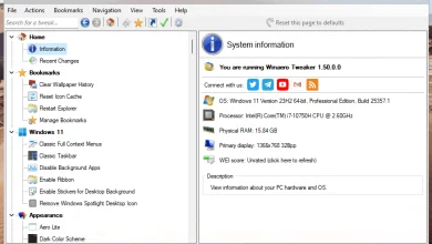 Winaero Tweaker: personaliza y optimiza Windows 17