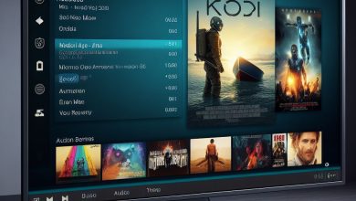 Acciones básicas para solucionar error 404 en KODI 23