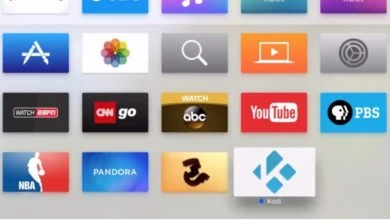 Kodi 21.0 RC1 Omega viene cargada de funciones nuevas! 40 Kodi 21.0 RC1 Omega viene cargada de funciones nuevas! 39