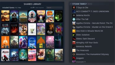 Steam Family: comparte juegos de forma sencilla 4 Steam Family