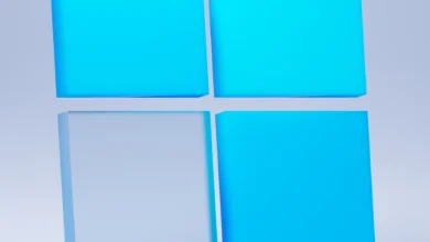 windows 11