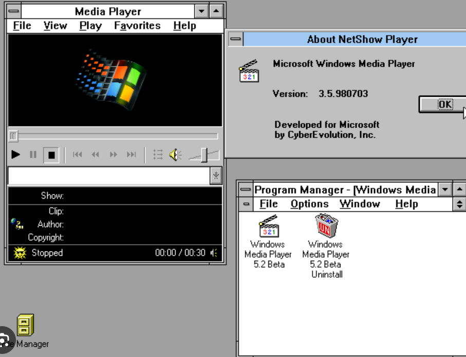 Multimedia windows 3.1