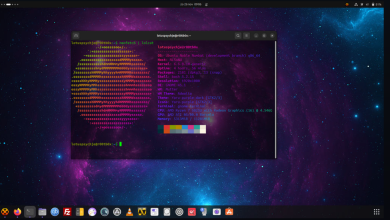 ubuntu 24.04