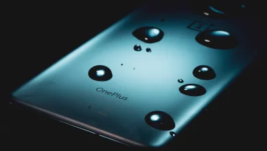 OnePlus 13