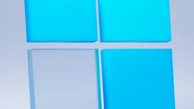WINDOWS 11 KB5036980