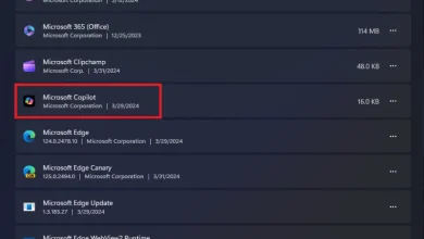 Microsoft instala silenciosamente la aplicación "Copilot" para habilitar futuras funciones de inteligencia artificial en Windows 11 y 10 29 Microsoft instala silenciosamente la aplicación "Copilot" para habilitar futuras funciones de inteligencia artificial en Windows 11 y 10 28