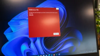Nueva campaña de Raspberry Robin: Windows Defender no te protege 31 raspberry robin