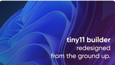 Crea tu propio Windows 11 personalizado con Tiny11 Builder 21 Tiny 11 Builder