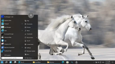 Windows 11 24H2 Build 26100: Está causando errores y bloqueos de aplicaciones 14 windows 11 24h2 build 21600 errores