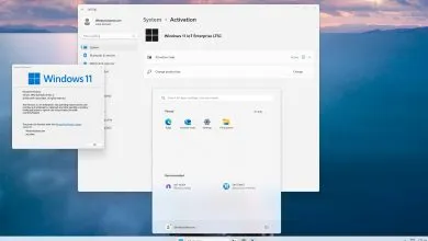 windows 11 ltsc